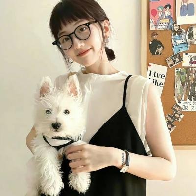 满目皆琳琅